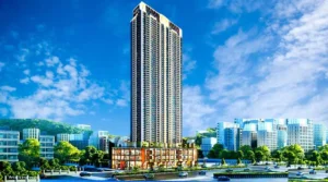 Ashar Pulse Flats